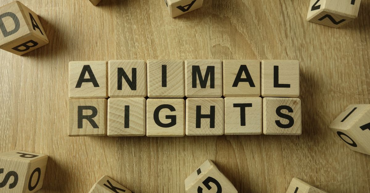 Perceiving Animals as ‘Right-Holders’: Understanding The Concept of ...